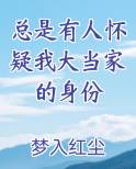 总是有人怀疑我大当家的身份
