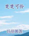 楚楚可怜完整版小说