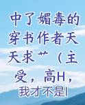 中了媚毒的穿书作者天天求艹（主受，高H，苏爽）