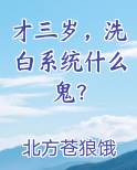 才三岁,洗白系统什么鬼?免费阅读