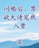 闪婚后，禁欲大佬宠我入骨