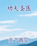 功夫圣医