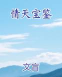 情天宝鉴