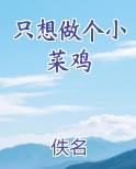只想做个小菜鸡