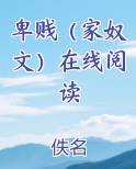 卑贱（家奴文）在线阅读