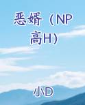 恶婿（NP高H）