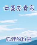 云墨苏青鸾