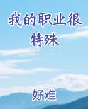 我的职业很特殊