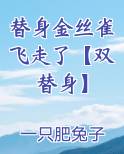 替身金丝雀飞走了【双替身】