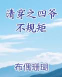 清穿之四爷不规矩