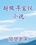 超级寻宝仪小说