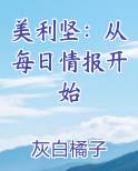 美利坚：从每日情报开始全本免费阅读