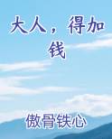 大人，得加钱