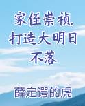 家侄崇祯,打造大明日不落