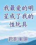 我最爱的明星成了我的性玩具