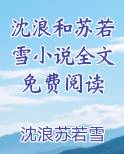 沈浪和苏若雪小说全文免费阅读电子书